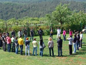 Mladi iskali rešitve za brezposelnost v okviru projekta strukturiran Dialog mladih